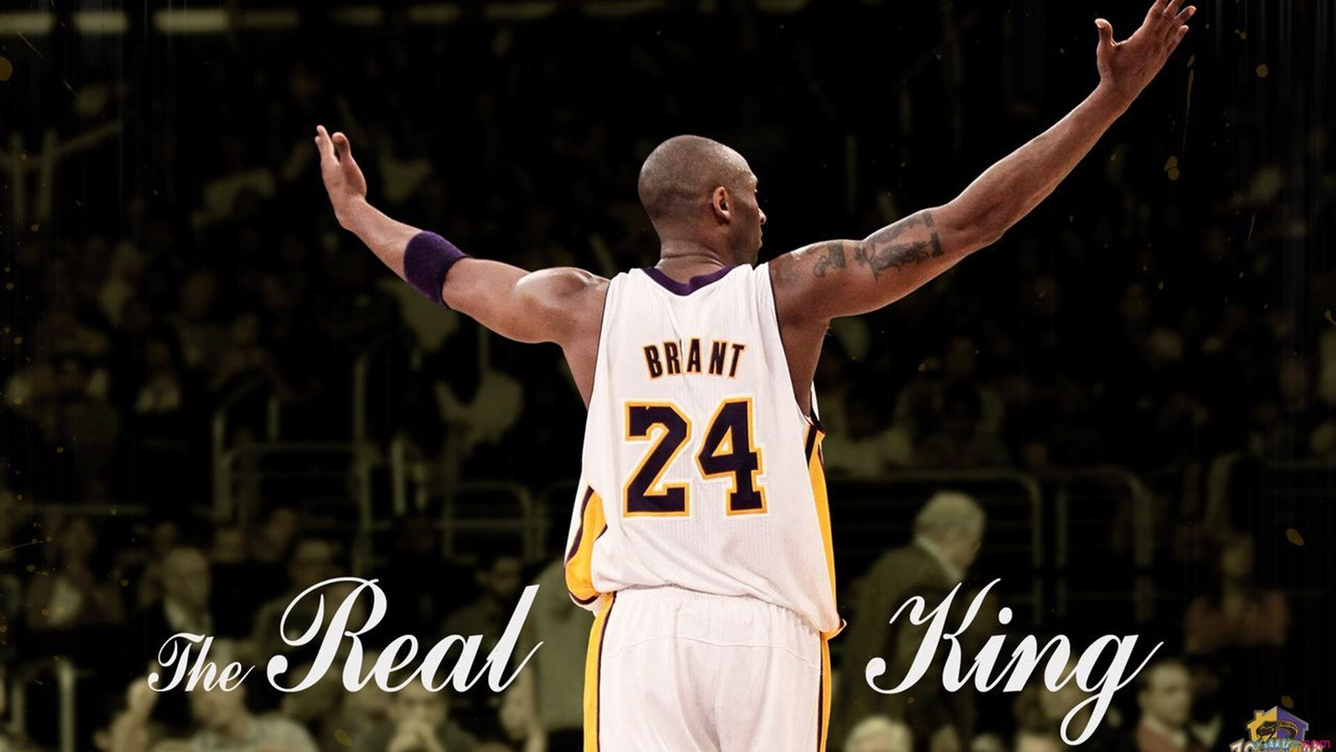 凯尔特人稳居东部第一,塔图姆表现无解,凯尔特人塔图姆超清壁纸